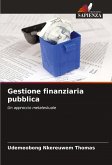 Gestione finanziaria pubblica