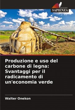 Cover Produzione e uso del carbone di legna: Svantaggi per il radicamento di un'economia verde