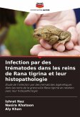 Infection par des trématodes dans les reins de Rana tigrina et leur histopathologie