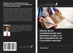 Cover Efecto de la contaminación por petróleo crudo y la biorremediación en Cucurbita maxima