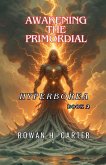Awakening the Primordial