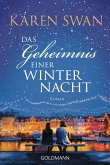 Das Geheimnis einer Winternacht (eBook, ePUB)