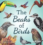The Beaks of Birds (eBook, PDF)
