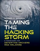 Taming the Hacking Storm (eBook, PDF)