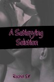 A Satisfying Solution (eBook, ePUB) A Satisfying Solution (eBook, ePUB)