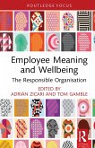 Employee Meaning and Wellbeing (eBook, PDF)