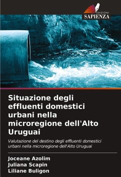 Cover Situazione degli effluenti domestici urbani nella microregione dell'Alto Uruguai