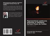 Reprezentacje spo¿eczne wi¿¿niów w zak¿adzie karnym Poços de Caldas