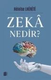 Zeka Nedir Zeka Nedir