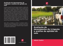 Avaliação do desempenho da irrigação e análise da aptidão do solo - Sadick, Adams