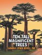 Ten Tall Magnificent Trees - Bild 1