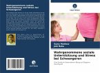 Wahrgenommene soziale Unterstützung und Stress bei Schwangeren
