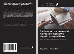 Calibración de un modelo hidráulico mediante algoritmos genéticos - de Souza Lemes, Cryslara