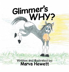 Cover Glimmer's WHY?