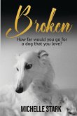 Broken Broken