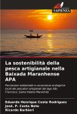 La sostenibilità della pesca artigianale nella Baixada Maranhense APA La sostenibilità della pesca artigianale nella Baixada Maranhense APA