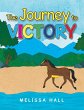 The Journey to VICTORY - Bild 1