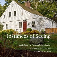 Cover Instances of Seeing, Volume 2
