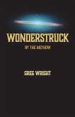 Wonderstruck by The Methow Wonderstruck by The Methow