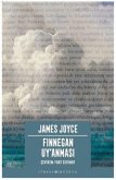 Finnegan Uyanmasi Finnegan Uyanmasi