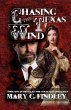 Chasing the Texas Wind - Bild 1