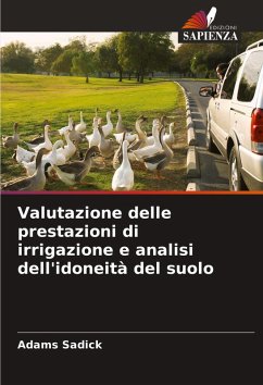 Cover Valutazione delle prestazioni di irrigazione e analisi dell'idoneità del suolo