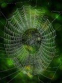 The Shadow Network (Adventure/Action) (eBook, ePUB) The Shadow Network (Adventure/Action) (eBook, ePUB)