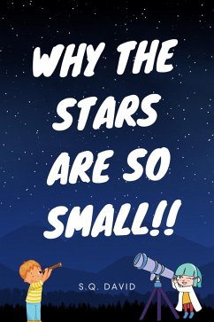 Why The Stars Are So Small (eBook, ePUB) - David, S. Q.