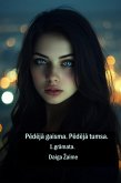 Pedeja gaisma. Pedeja tumsa (Gaisma un Tumsa, #1) (eBook, ePUB)