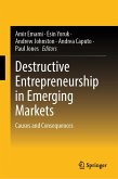 Destructive Entrepreneurship in Emerging Markets (eBook, PDF)