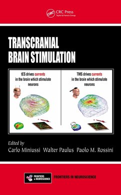 Cover Transcranial Brain Stimulation (eBook, ePUB)
