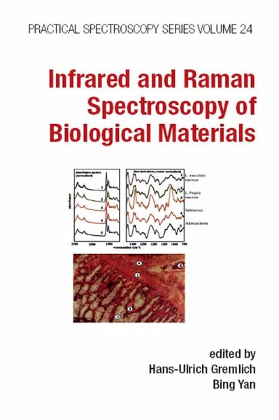 Infrared and Raman Spectroscopy of Biological Materials (eBook, ePUB) Infrared and Raman Spectroscopy of Biological Materials (eBook, ePUB)