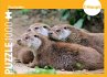 Fischotter - Puzzle - Bild 1