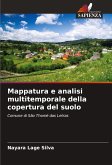 Mappatura e analisi multitemporale della copertura del suolo Mappatura e analisi multitemporale della copertura del suolo