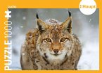 Luchs - Puzzle
