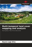Multi-temporal land cover mapping and analysis