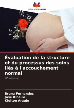 Évaluation de la structure et du processus des soins liés à l'accouchement normal - Fernandes, Bruna;Ribeiro, José;Araújo, Kleiton