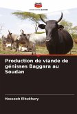Production de viande de génisses Baggara au Soudan Production de viande de génisses Baggara au Soudan