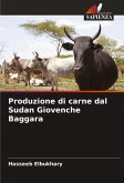 Produzione di carne dal Sudan Giovenche Baggara Produzione di carne dal Sudan Giovenche Baggara