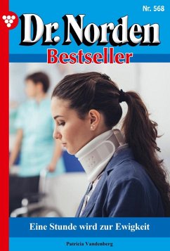 Ein Stunde wird zur Ewigkeit (eBook, ePUB) - Vandenberg, Patricia