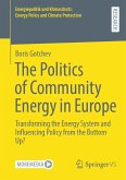 The Politics of Community Energy in Europe (eBook, PDF)