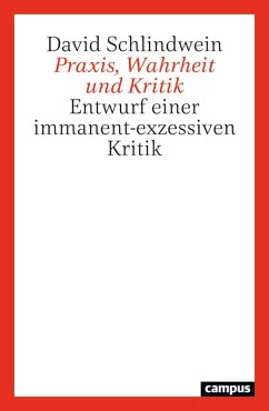 Cover Praxis, Wahrheit und Kritik (eBook, ePUB)