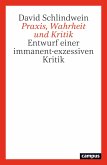 Praxis, Wahrheit und Kritik (eBook, PDF)