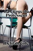 La Vierge du Professeur (eBook, ePUB)