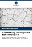 Auswertung von digitalen Höhenmodellen Auswertung von digitalen Höhenmodellen