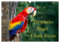 Tropische Vögel Costa Ricas (Wandkalender 2026 DIN A3 quer), CALVENDO Monatskalender