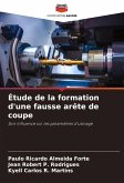 Étude de la formation d'une fausse arête de coupe Étude de la formation d'une fausse arête de coupe
