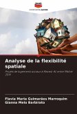 Analyse de la flexibilité spatiale Analyse de la flexibilité spatiale