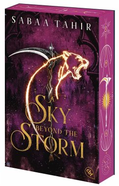 Cover A Sky Beyond the Storm