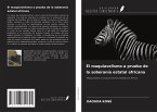 El maquiavelismo a prueba de la soberanía estatal africana El maquiavelismo a prueba de la soberanía estatal africana